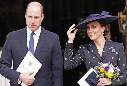 王室最新爆料新闻视频